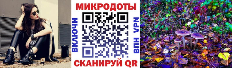 Галлюциногенные грибы Psilocybine cubensis  Семёнов 